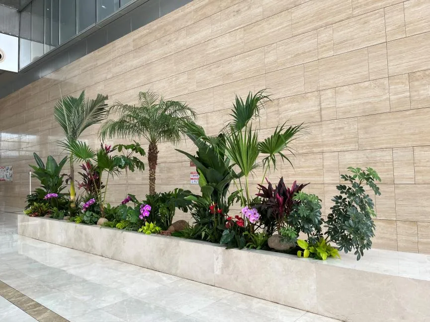 想了解海曙花木出租价格？这里有你要的答案！