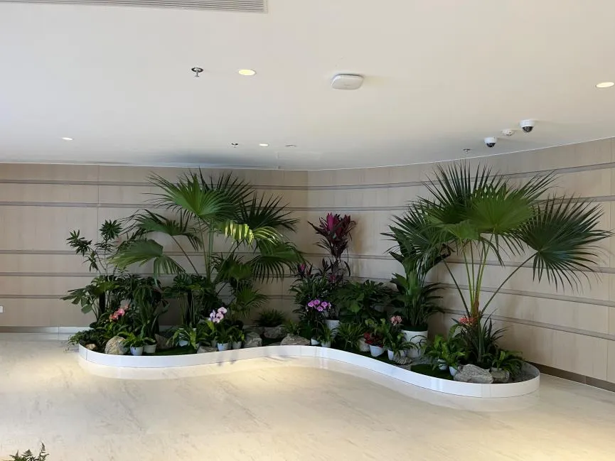 鄞州绿植租摆专业